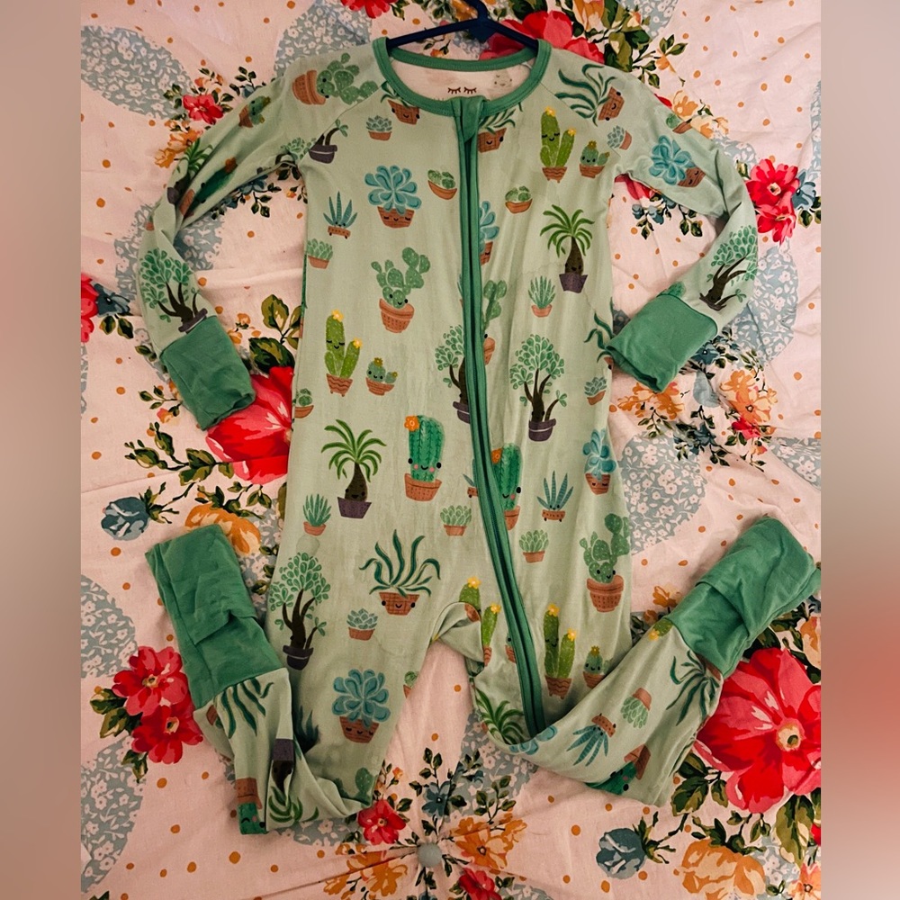 Little sleepies succulent love